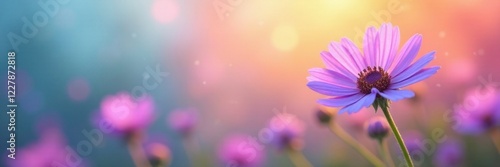 Soft focus purple flowers against bright colorful background, pastel rainbow, bokeh, colorful photo