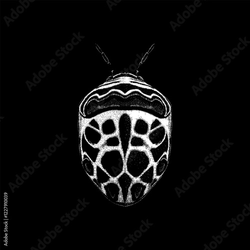 Picasso Bug hand drawing vector isolated on black background.