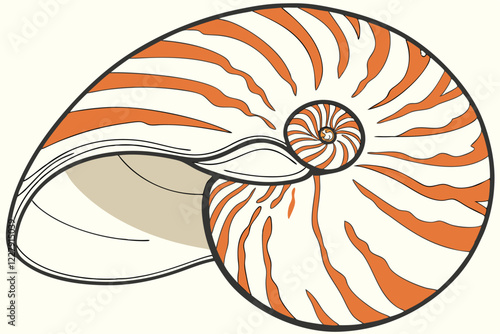 Seashell, spiral pattern, nautilus shell, orange and white stripes, natural texture, marine life, detailed close-up, high contrast, smooth surface, mathematical perfection, Fibonacci sequence, beach t