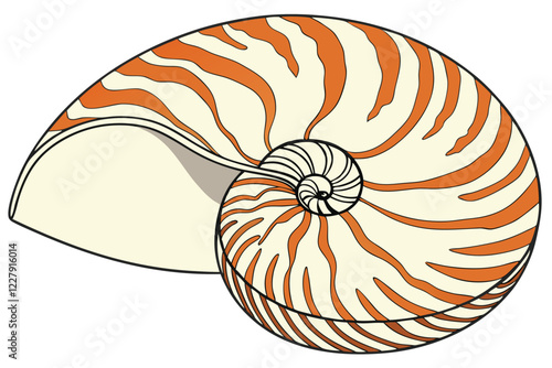 Seashell, spiral pattern, nautilus shell, orange and white stripes, natural texture, marine life, detailed close-up, high contrast, smooth surface, mathematical perfection, Fibonacci sequence, beach t