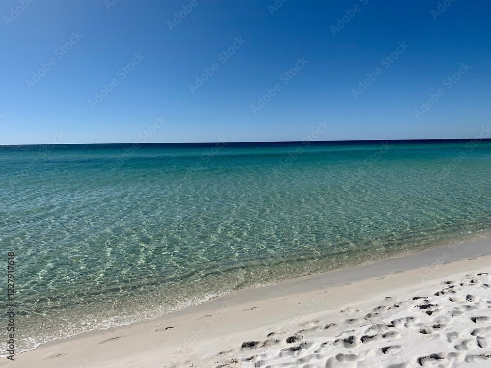 Obraz premium Gulf Coast Beach