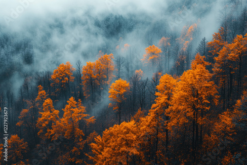 Fototapeta Naklejka Na Ścianę i Meble -  Beskidy