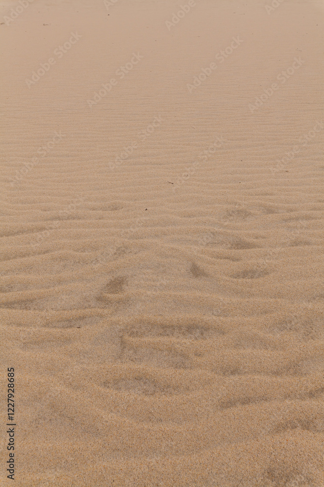 A close-up shot of rippled sand with subtle footprints, showcasing the texture and natural patterns of a sandy surface.