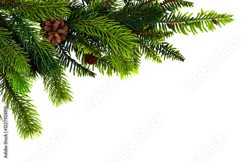 Green pine branches with brown pinecones isolated on a transparent background. A festive and natural element ideal for Christmas or winter holiday themes, symbolizing seasonal decor and nature.