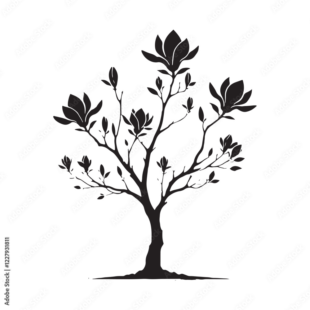 Obraz premium Stylish Magnolia Tree silhouette for artistic and modern visuals - Magnolia tree silhouette - Magnolia tree vector - Magnolia tree illustration - Magnolia silhouette - Magnolia vector 