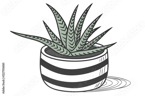 Succulent plant, Haworthia, striped ceramic pot, white and black stripes, small potted plant, green spiky leaves, white background, high contrast, sharp details, macro photography, houseplant, minimal