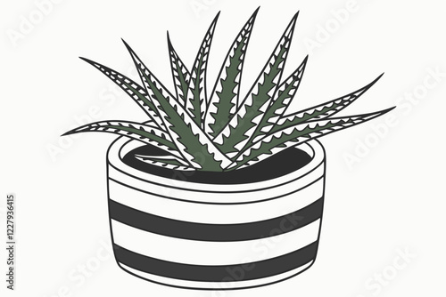 Succulent plant, Haworthia, striped ceramic pot, white and black stripes, small potted plant, green spiky leaves, white background, high contrast, sharp details, macro photography, houseplant, minimal