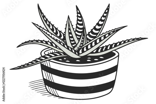 Succulent plant, Haworthia, striped ceramic pot, white and black stripes, small potted plant, green spiky leaves, white background, high contrast, sharp details, macro photography, houseplant, minimal