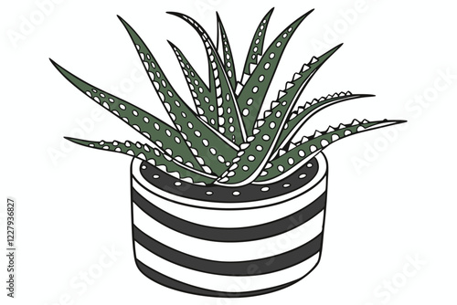 Succulent plant, Haworthia, striped ceramic pot, white and black stripes, small potted plant, green spiky leaves, white background, high contrast, sharp details, macro photography, houseplant, minimal