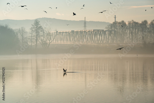 Fototapeta Naklejka Na Ścianę i Meble -  Goczałkowice Zdrój, poranek we mgle. 