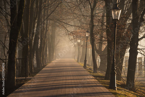 Fototapeta Naklejka Na Ścianę i Meble -  Park w Goczałkowice zdrój we mgle.