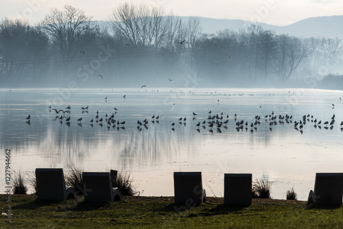 Fototapeta Naklejka Na Ścianę i Meble -  Goczałkowice Zdrój, poranek we mgle. 