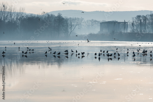 Fototapeta Naklejka Na Ścianę i Meble -  Goczałkowice Zdrój, poranek we mgle. 
