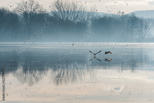 Fototapeta Naklejka Na Ścianę i Meble -  Goczałkowice Zdrój, poranek we mgle. 