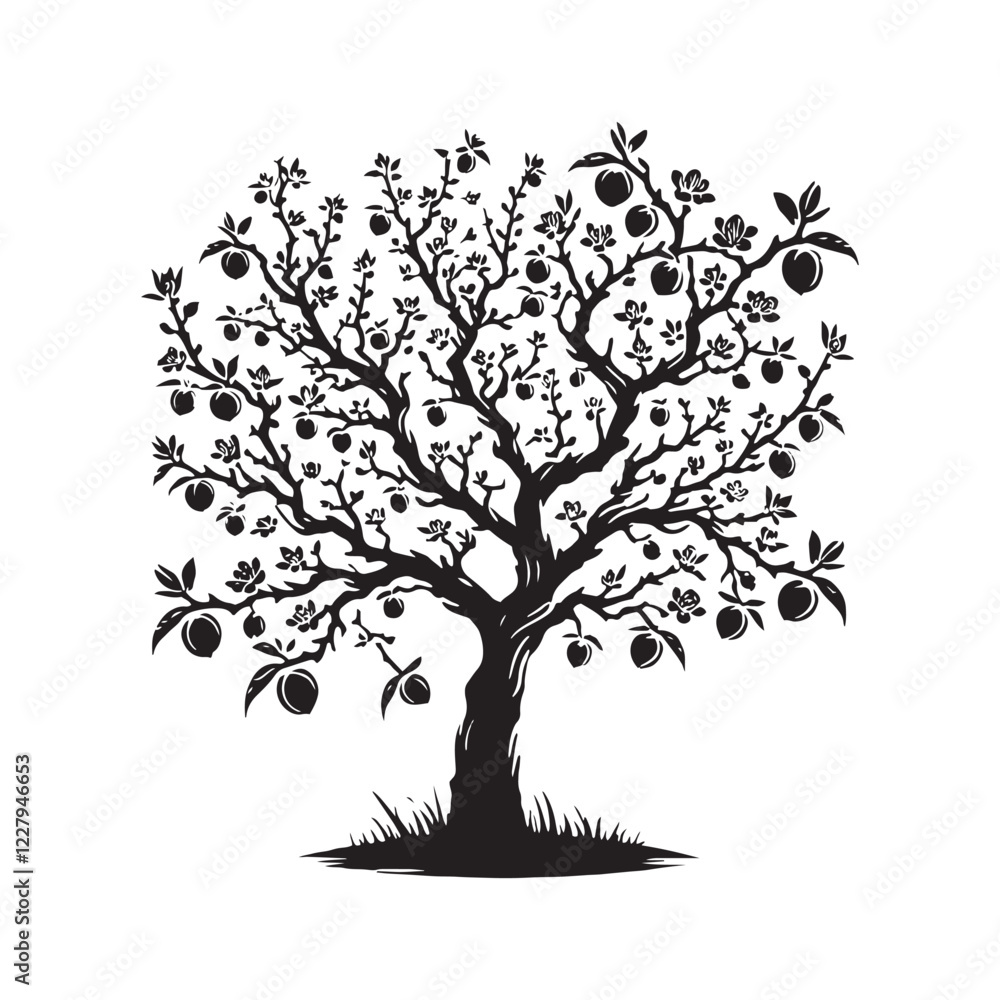 Fototapeta premium Elegant Peach Tree silhouette with flowing branches and leaves - Peach tree silhouette - Peach tree vector - Peach tree illustration - Peach silhouette - Peach vector 