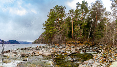 Mountain stream flowing into the Teletskoye lake. Rainy autumn day, Altai, Siberia, Russia, October photo