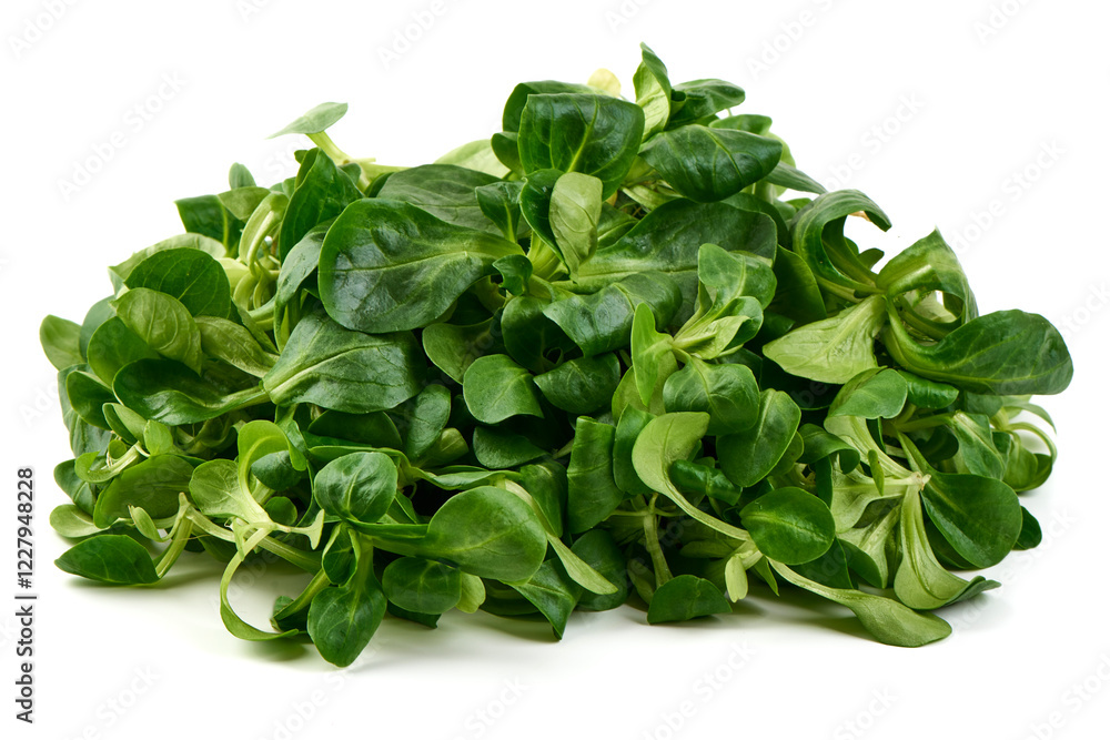 Lambs lettuce, corn salad, isolated on white background. Lambs lettuce, corn salad, isolated on white background.