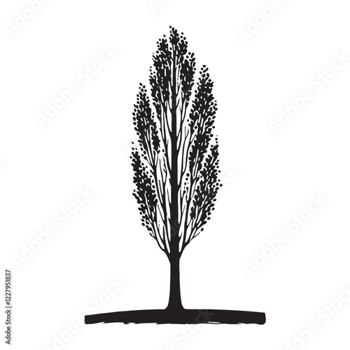 Elegant Poplar Tree silhouette with detailed leaves and tall branches - Poplar tree silhouette - Poplar tree vector - Poplar tree illustration - Poplar silhouette - Poplar vector
