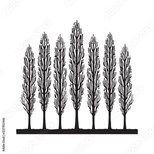 High-quality Poplar Tree silhouette for professional design projects - Poplar tree silhouette - Poplar tree vector - Poplar tree illustration - Poplar silhouette - Poplar vector
