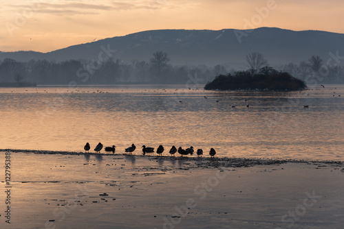 Fototapeta Naklejka Na Ścianę i Meble -  Goczałkowice Zdrój, poranek we mgle. 