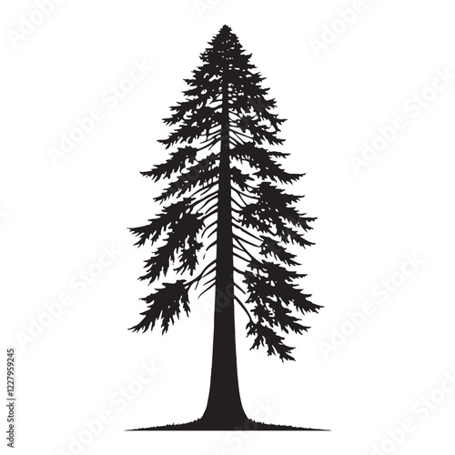 Natural Redwood Tree silhouette with a bold and refined structure - Redwood tree silhouette - Redwood tree vector - Redwood tree illustration - Redwood silhouette - Redwood vector
