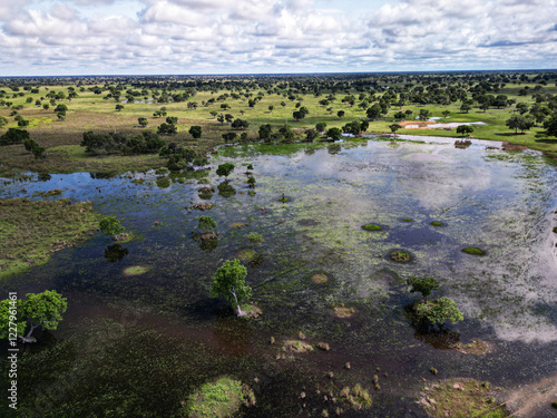 sunset in the Brazilian Pantanal