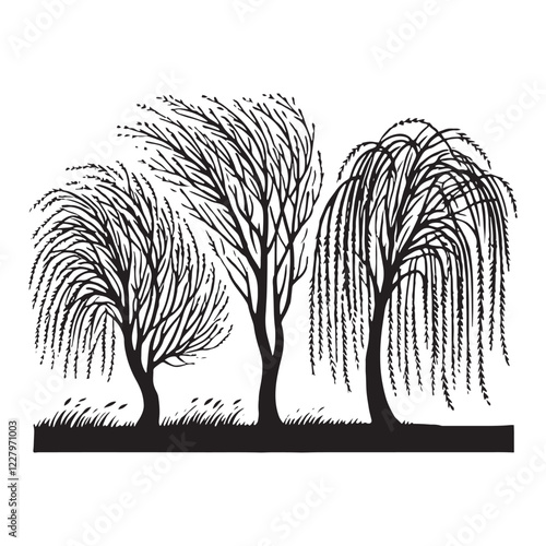 Detailed Weeping Willow Tree silhouette with sweeping branches - Weeping Willow Tree silhouette - Weeping Willow Tree vector - Weeping Willow Tree illustration - Willow silhouette - Willow vector
