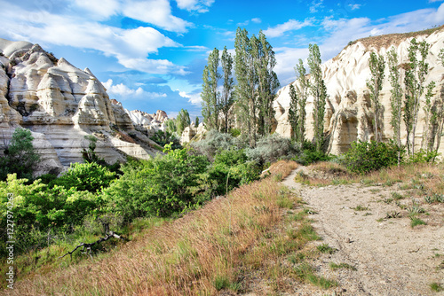 Obraz na płótnie Beautiful landscape of unique rock formations and lush vegetation under a vibrant sky w salonie