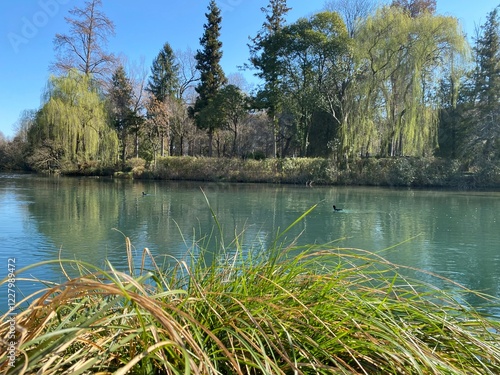 Obraz na płótnie Pordenone - Parco del seminario w salonie