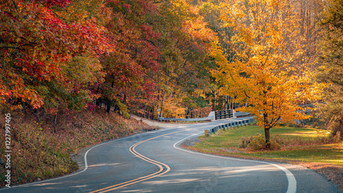 road in autumn