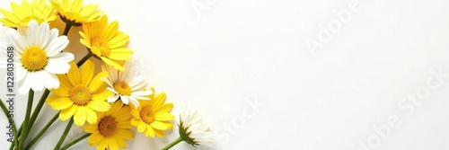 Daisies in a corner arrangement with yellow and white flowers on a white background, blooms, flowers, petals