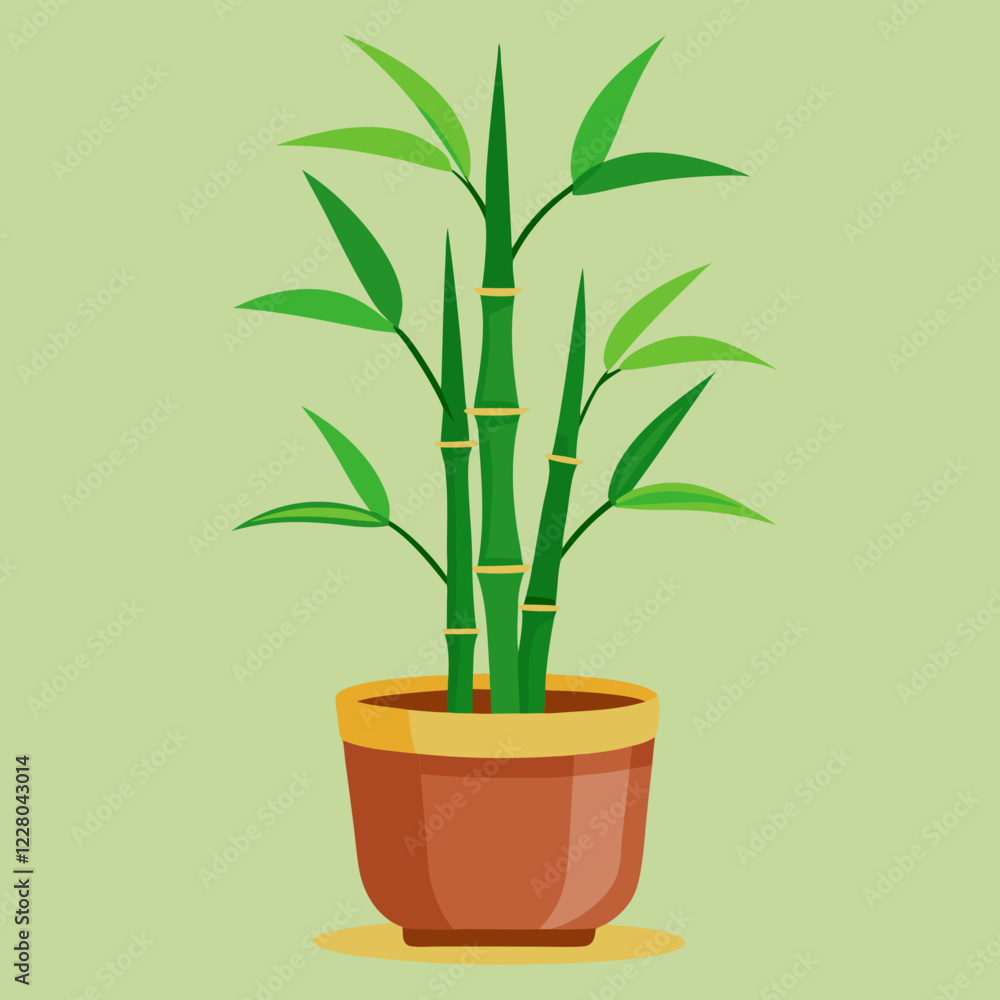 Fototapeta premium bamboo plant in a pot