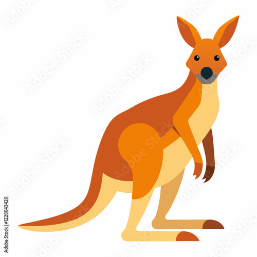 kangaroo illustration