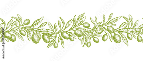 Olive pattern. Vector texture strip. Farm harvest