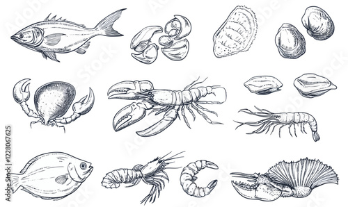 Vintage Seafood Sketch Collection: Fish, Shellfish, and Marine Life Illustrations