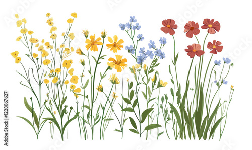 Minimalist Wild Meadow Flowers Vector Illustration in Flat SVG Design Style