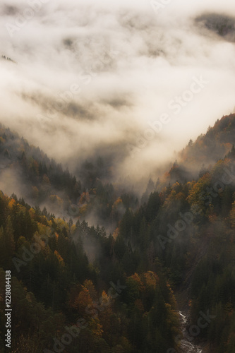 La bruma con i colori autunnali