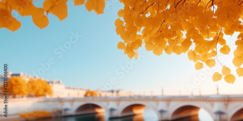 Autumn Architectural Pont Alexandre III Bridge under Golden Foliage - Parisian Art Scene for Luxury Travel Marketing and Cultural Heritage Promotion photo