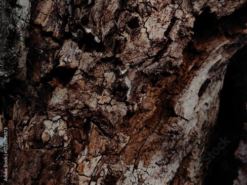 Cherry tree trunk texture. Abstract nature photo of cherry trunk