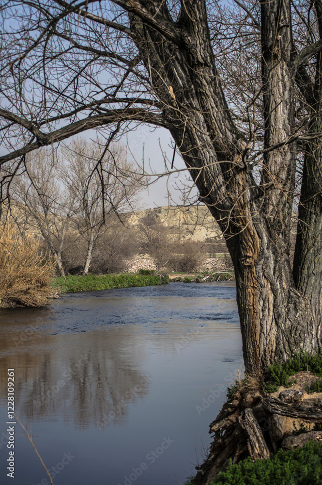 photographs of landscapes on the bank of a river photographs of landscapes on the bank of a river