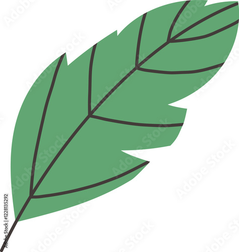 Exotic leaves and branches in minimalistic flat style isolated on white.
