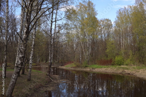 Pond in the forest. The trees are reflected in the pond.