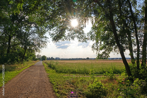 Weg am Waldrand photo