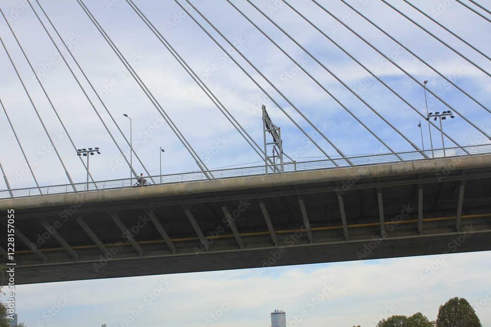 Obraz premium Ada bridge Belgrade