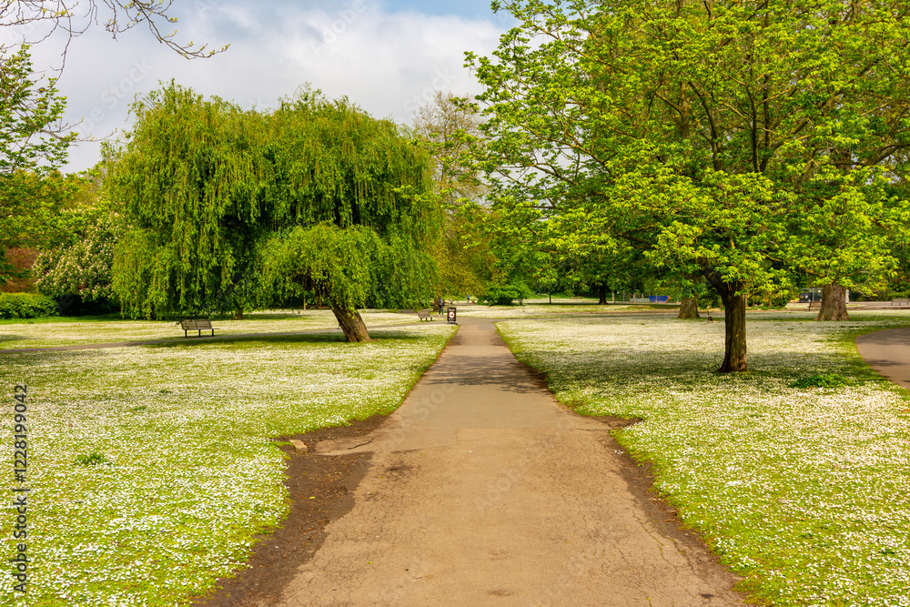 Obraz premium Regent's park landscape in spring, London, UK