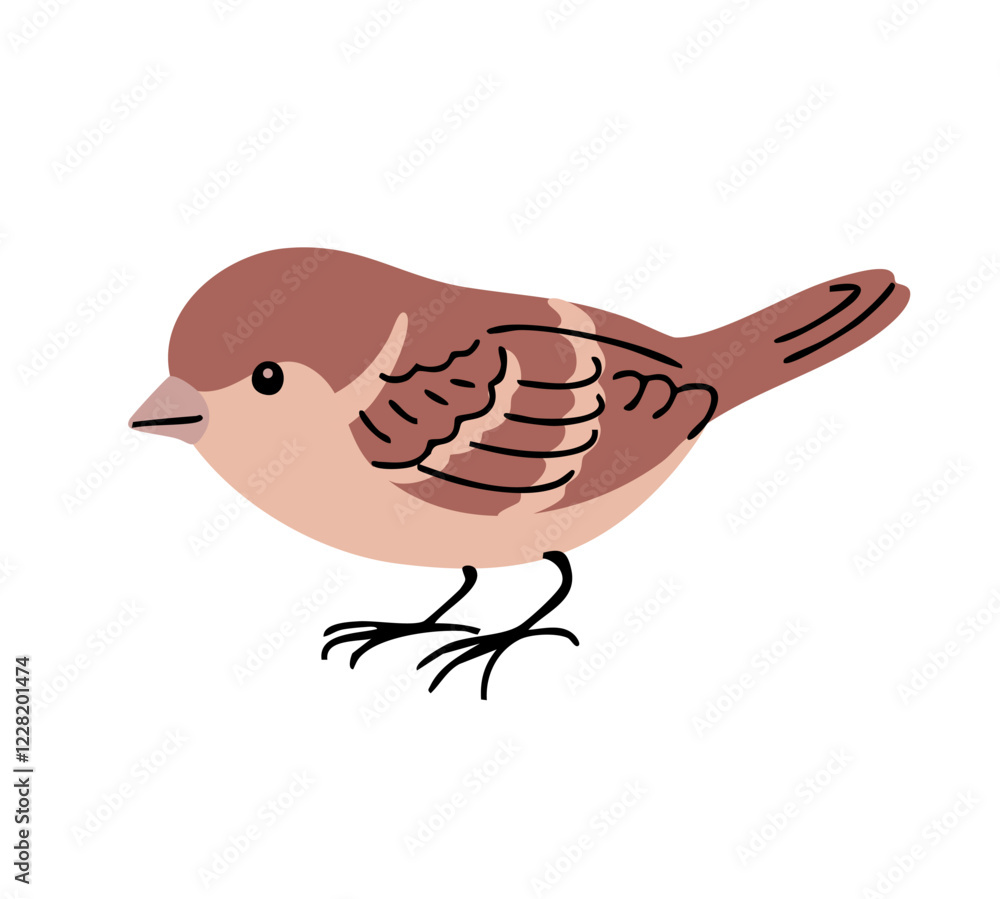 Obraz premium Little sparrow bird. Urban feathered. Animals, nature and ornithology. Cartoon vector illustration isolated on white background