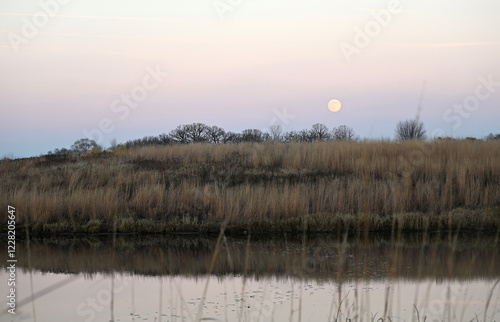 Full Moon Setting photo