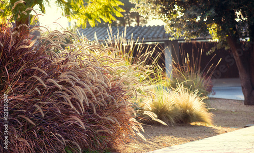 Картината върху платно Garden design with ornamental grasses