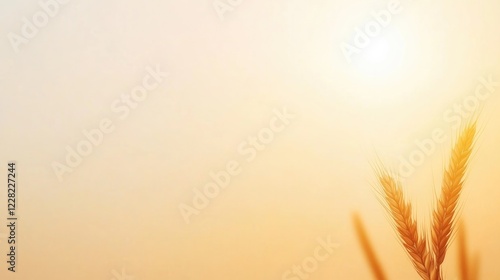 Golden sunlight bathes tall grass, creating serene and warm atmo photo