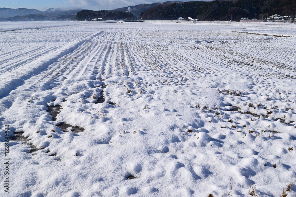 Obraz premium 雪国の田園風景 山形県庄内
